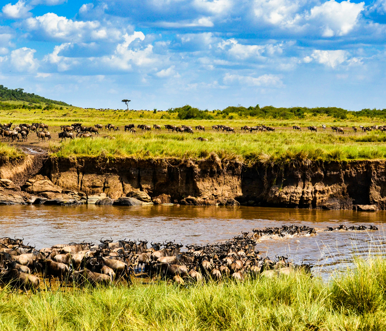 2 Days fly in Masai Mara safari