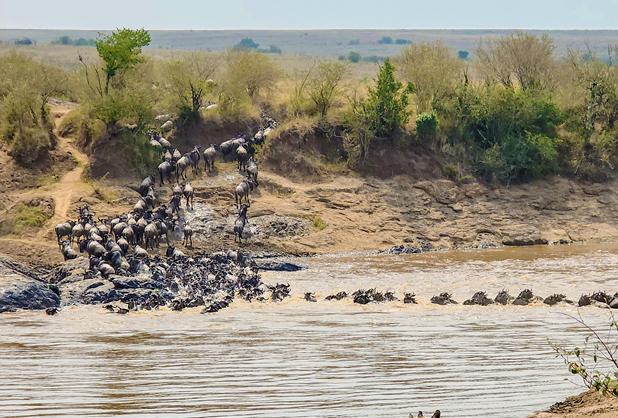 3 Days Masai Mara safari