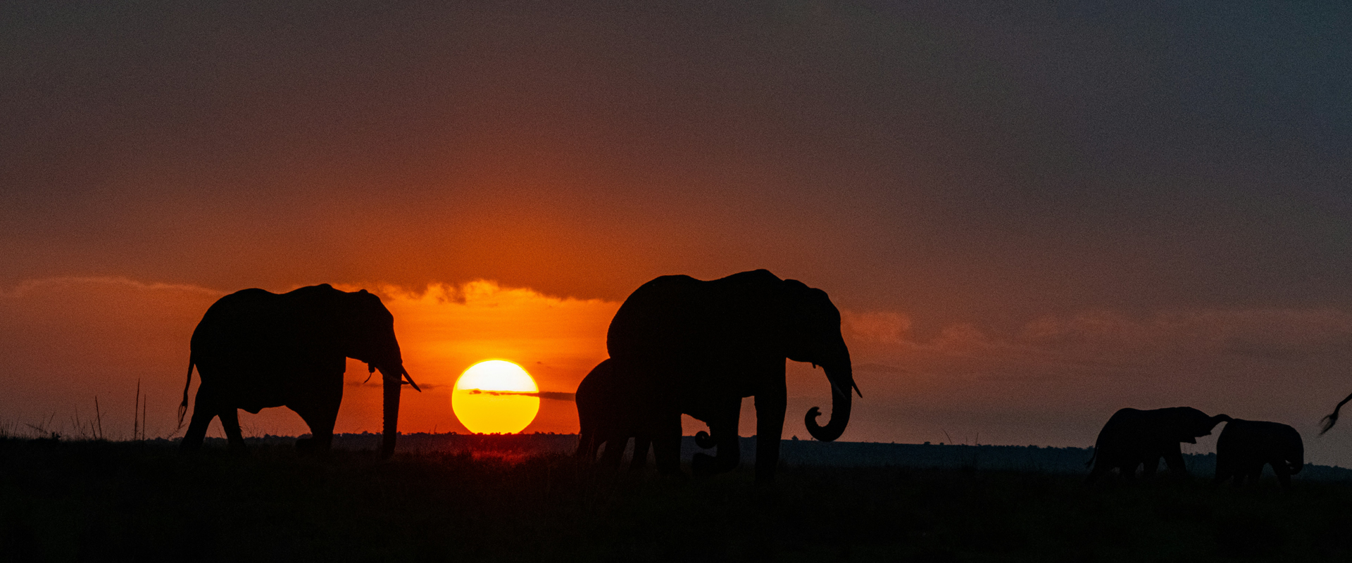 9 Days / 8 Nights Grand Kenya Safari