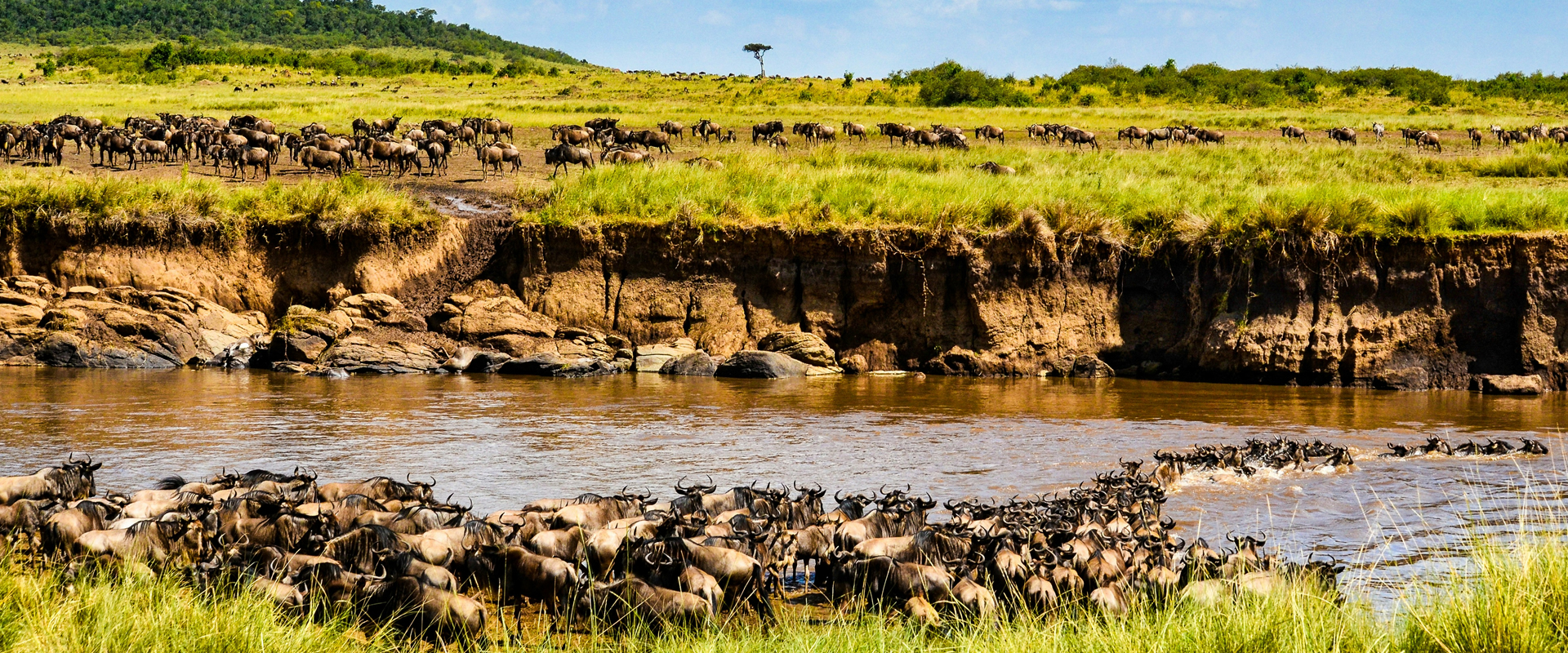 Masai Mara safari landscape near Rovers Campsite Mara