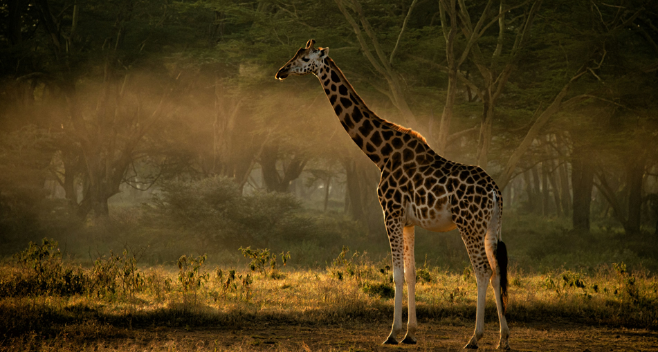 Samburu northern Kenya landscape